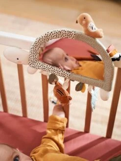 Jouet à Suspendre Ou à Poser Tanzanie Tanzanie - Vertbaudet -Premier âge Boutieque jouet a suspendre ou a poser tanzanie 2